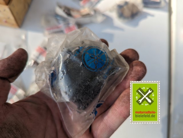 PXL_20240528_155916160